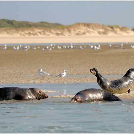 Berck-place & Le Touquet - Sur La Cote D'opale 아파트 *